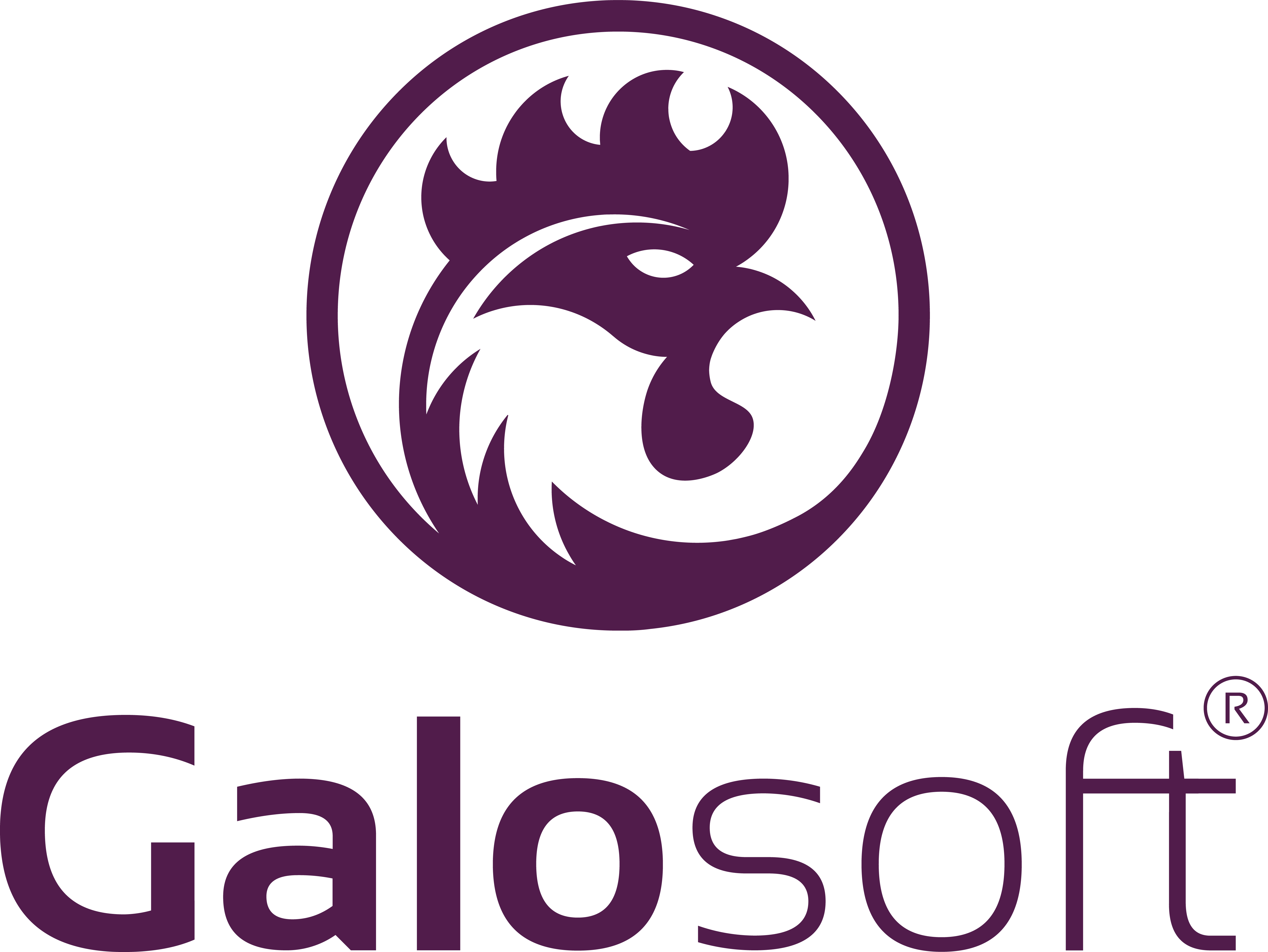 Galosoft